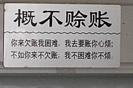 淮滨为什么选择专业追讨公司来处理您的债务纠纷？